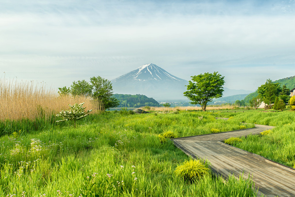 Chemin de randonnée en bois dans un parc verdoyant avec le mont Fuji en arrière-plan
 - Photo, image