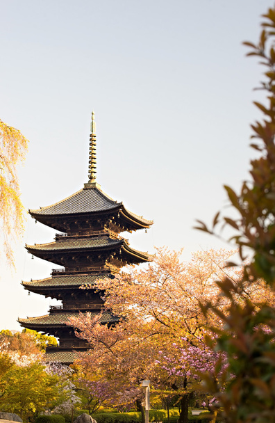 Kioto, Japani Toji temppelissä kesällä
 - Valokuva, kuva