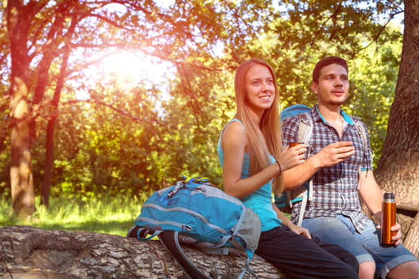 Wanderpicknick Junge Leute sitzen im Wald und trinken Kaffee-Thermoskanne - Foto, Bild