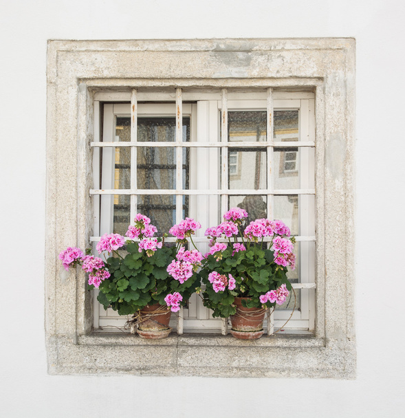 Square window with potted flowers - Fotó, kép