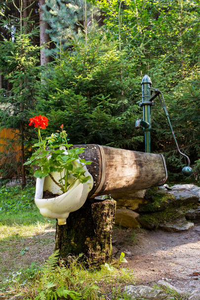bomba de água rural rústica com flores em bidé
 - Foto, Imagem