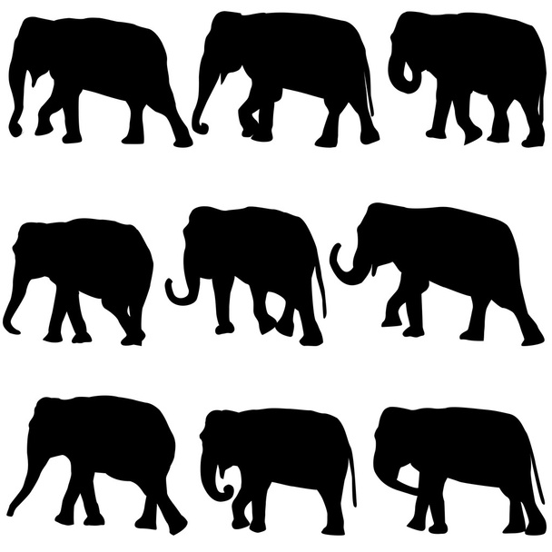 Filler siluetleri seti - Vektör, Görsel