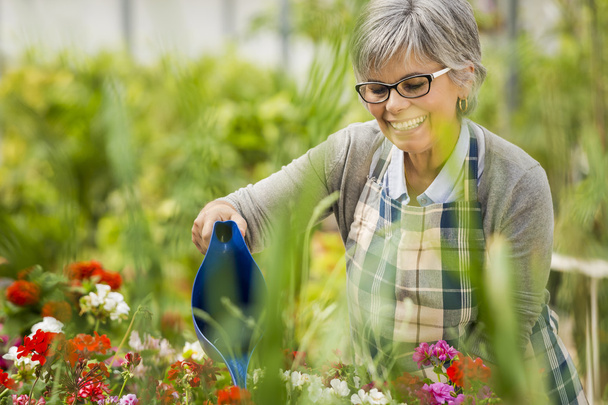 Mature woman watering flowers - Foto, Imagen