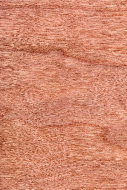 Cherry Wood Veneer Grunge Texture Sample - Photo, Image