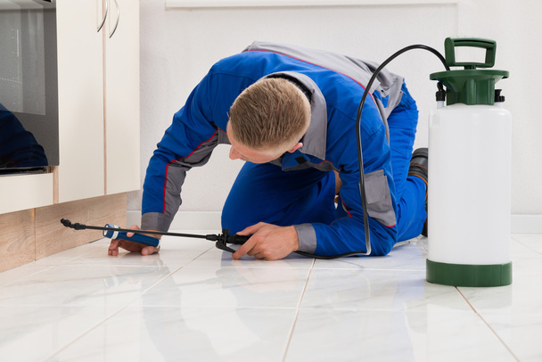 Worker On Floor And Spraying Pesticide - Zdjęcie, obraz