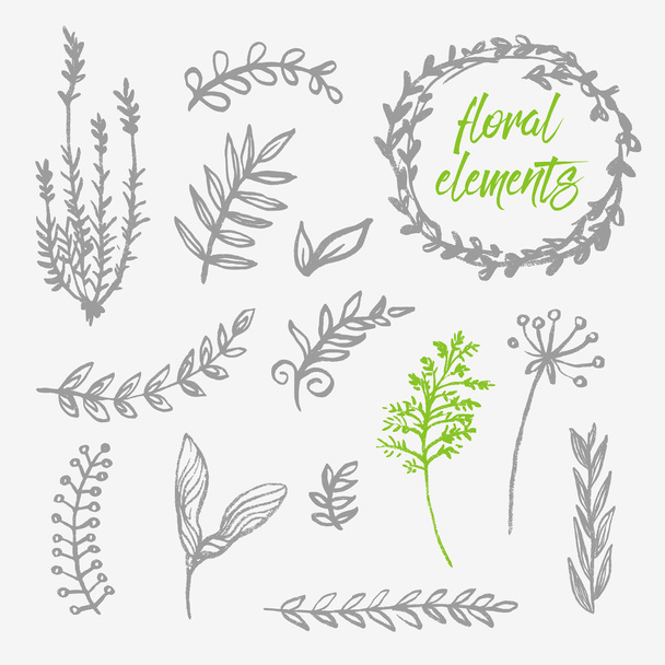 Hand drawn floral elements - Vector, Image