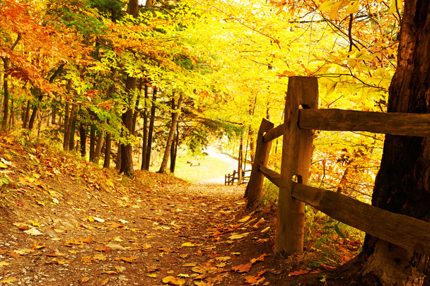Осенний пейзаж
 - Фото, изображение