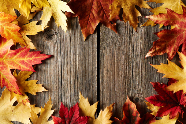 Hojas de arce de otoño - Foto, Imagen