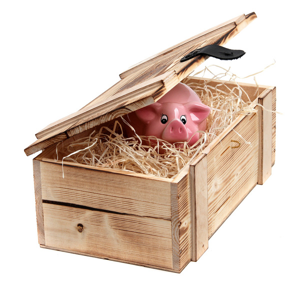 roze spaarpot in doos met hout-wol - Foto, afbeelding