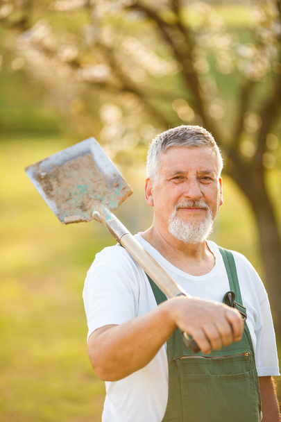 Portrait of a handsome senior man gardening in his garden - 写真・画像