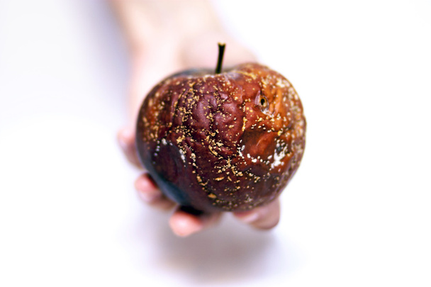 onun elinde küflü elma - Fotoğraf, Görsel