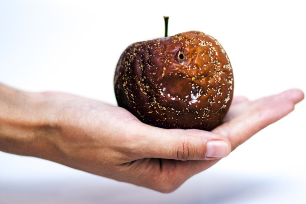hand holding rotten apple - Photo, Image