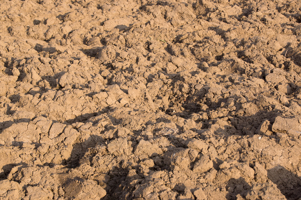 Крупный план текстуры почвы
 - Фото, изображение