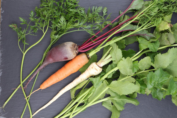 Fresh vegetables carrots, beetroots and parsnip on chalkboard. Harvest still life - Photo, Image