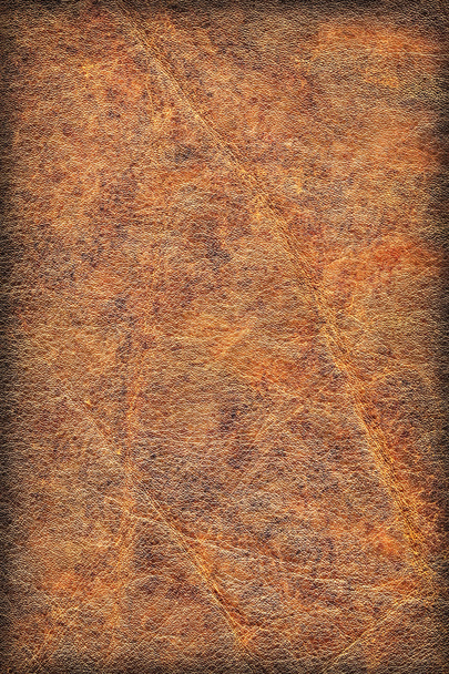 Oude koeienhuid gevouwen geëxpandeerd vignet Grunge textuur - Foto, afbeelding