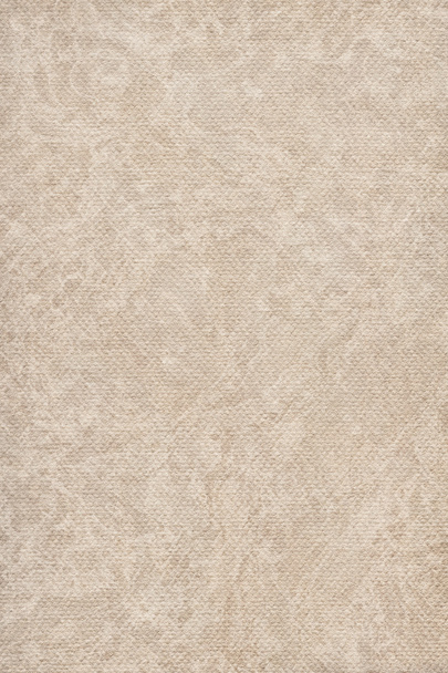 Umělcova pastelové papíru hrubozrnný béžové strakaté Grunge textury vzorek - Fotografie, Obrázek