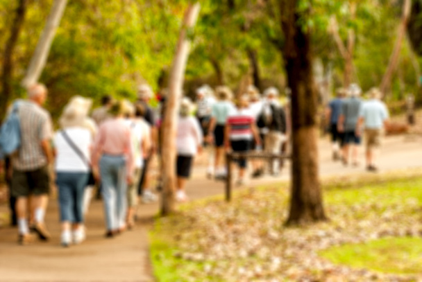 grupo de pessoas idosas e saudáveis andando na natureza
 - Foto, Imagem
