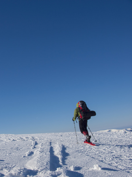 L'alpiniste traverse la neige vêtue de raquettes
. - Photo, image
