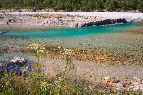 Soca річка в Словенії, Європа - Фото, зображення