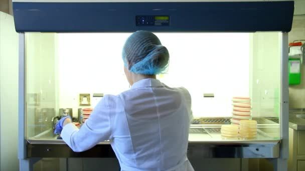 Ученые работают в лаборатории
 - Кадры, видео
