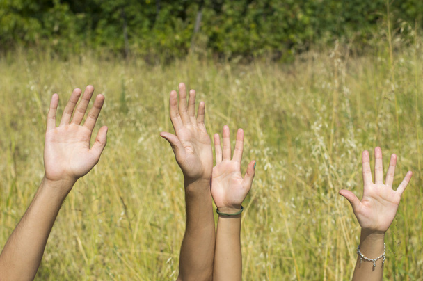 Männliche und weibliche Hand hoch im Feld - Foto, Bild