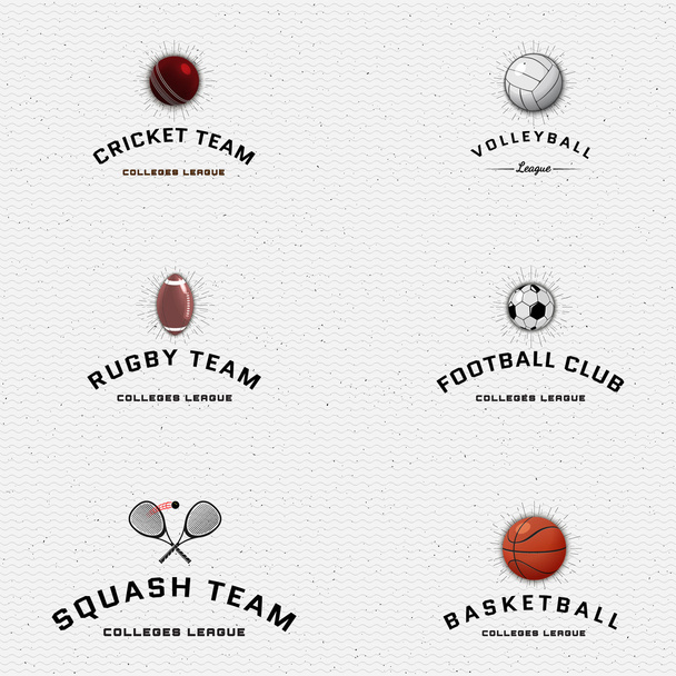 クリケット、バレーボール、サッカー、バスケット ボール、スカッシュ、ラグビー バッジ ロゴ、任意使用のためのラベル - ベクター画像