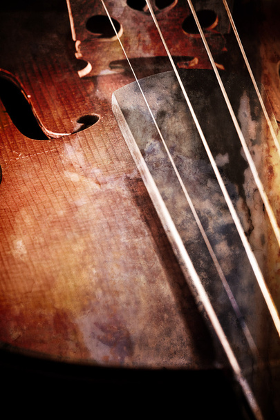 βιολί με μικρό σούρουπο - Φωτογραφία, εικόνα