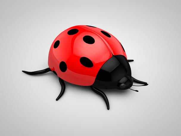 3d Ladybird - Фото, изображение
