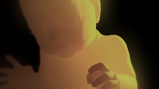 Születendő Baby az anyaméhben - Felvétel, videó