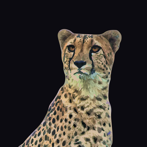 Cheetah illustratie - Vector, afbeelding