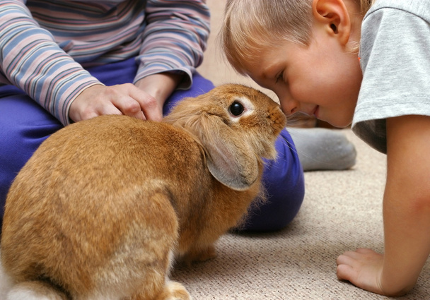 El chico con el conejo
 - Foto, Imagen