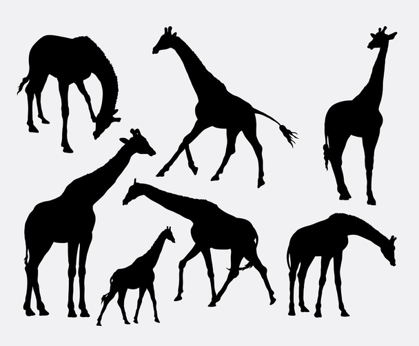 Giraffe animal silhouettes - Vektor, obrázek
