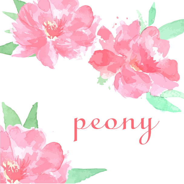 Watercolor hand drawn pink peony - Vector, Image