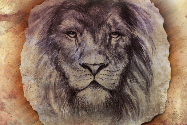 Löwengesicht-Zeichnung auf Vintage-Papiercollage, abstrakter Hintergrund. Blickkontakt - Foto, Bild