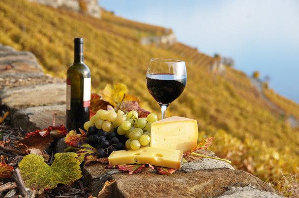 rode wijn, kaas en druiven op het terras van de wijngaard in lavaux - Foto, afbeelding