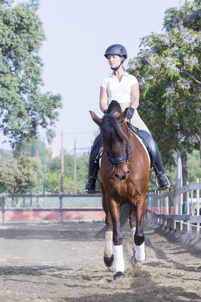 Meisje paardrijden - Foto, afbeelding