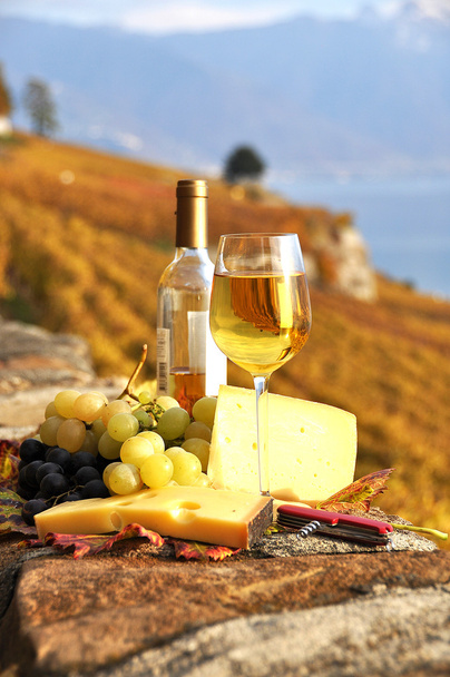 Wine, grapes and chesse on the terrace vineyard in Lavaux region - Photo, Image