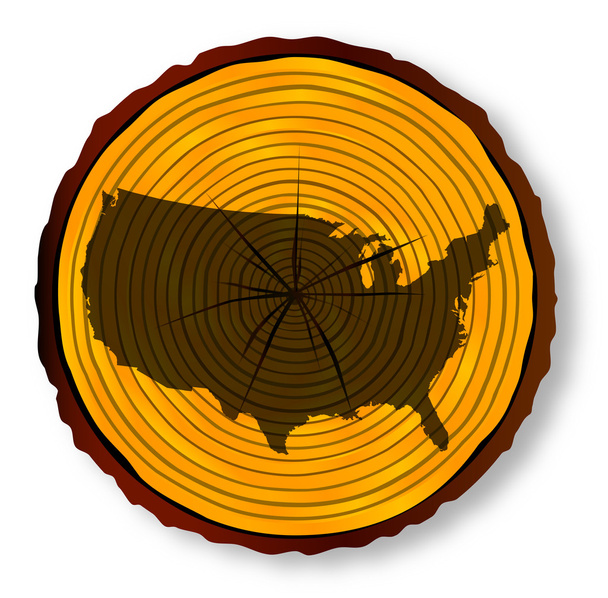 Карта США по секции древесины
 - Вектор,изображение