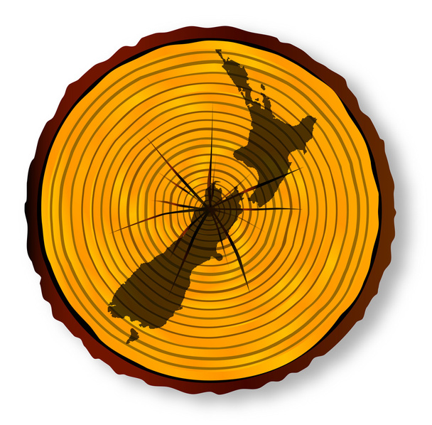 New Zealand Map On Timber Section - Wektor, obraz