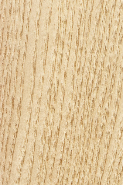 Campione di texture grunge impiallacciatura di legno acero
 - Foto, immagini