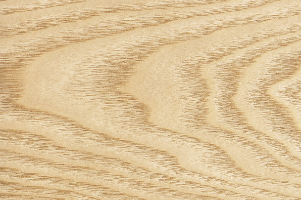 Impiallacciatura di legno d'acero Grunge TMaple Impiallacciatura di legno, ocra gialla, campione di grunge Texture.
 - Foto, immagini