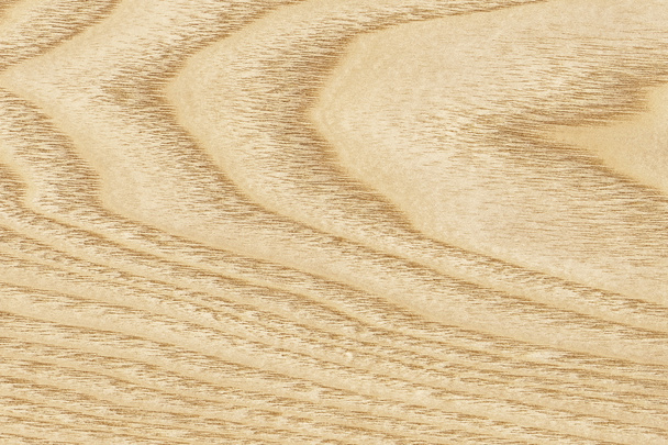 Amostra de textura Grunge de folheado de madeira de bordo
 - Foto, Imagem