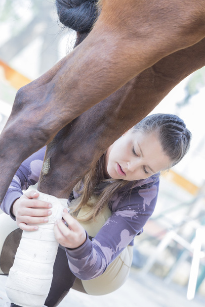 Young woman grooming her horse - Foto, Bild