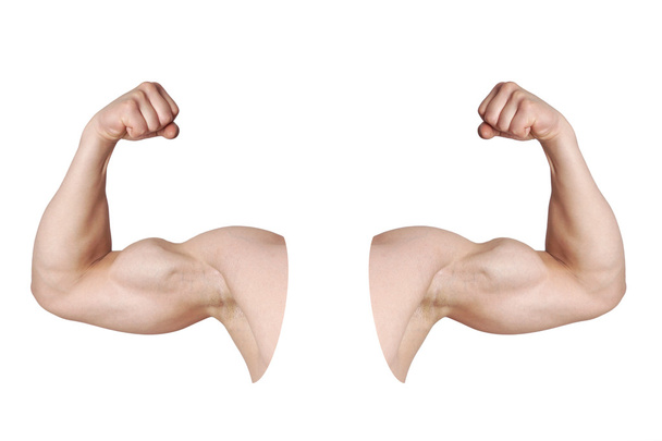 brazos masculinos con músculos bíceps flexionados
 - Foto, Imagen