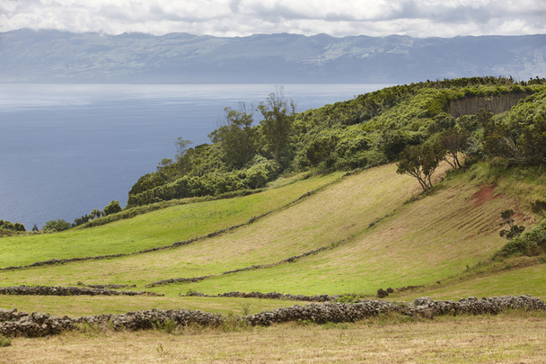 Azores paisaje verde en Sao Jorge y la isla de Pico. Portugal
 - Foto, Imagen