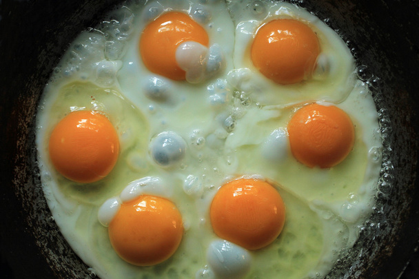 6 eggs in a frying pan - 写真・画像