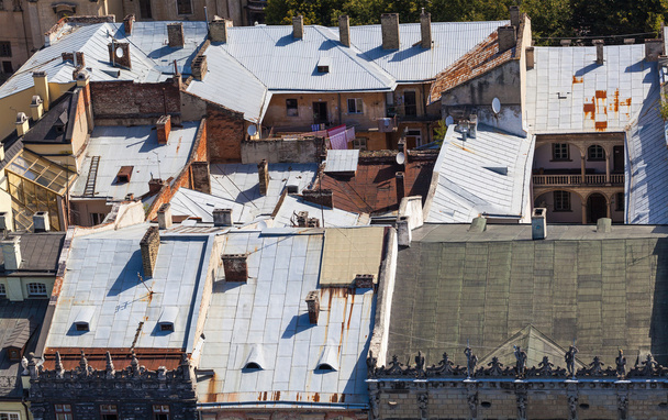 view from above the rooftops - Photo, image
