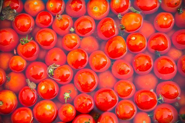 Red tomatoes - 写真・画像