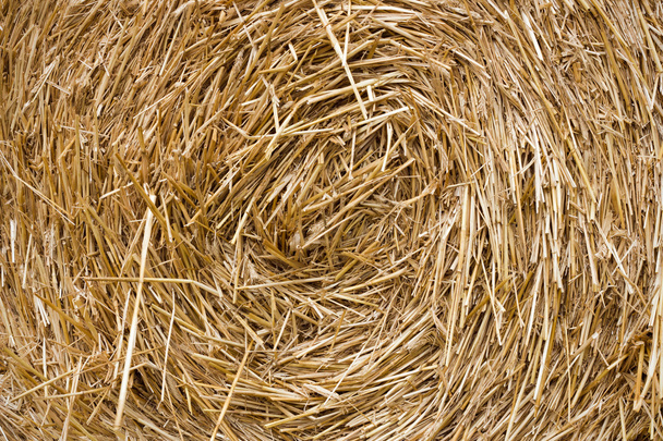 A stack of hay. - Photo, Image