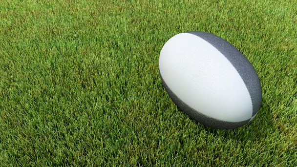 Black rugby ball on grass V01 - Fotoğraf, Görsel